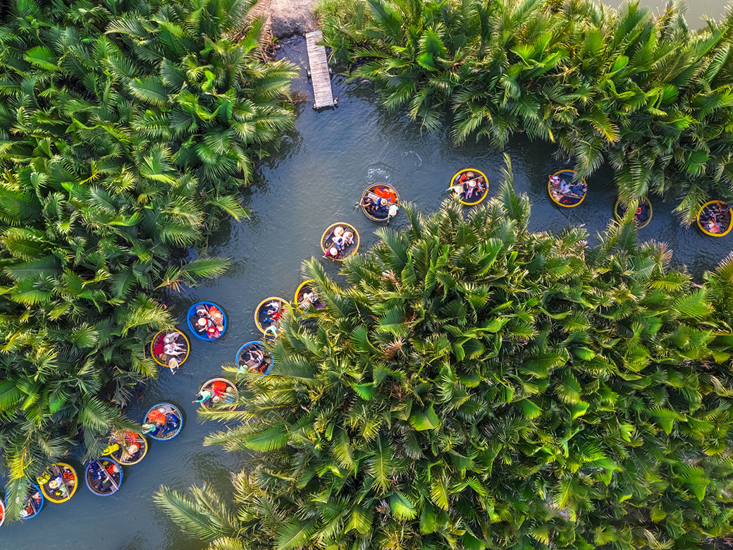 Qua Rừng Dừa